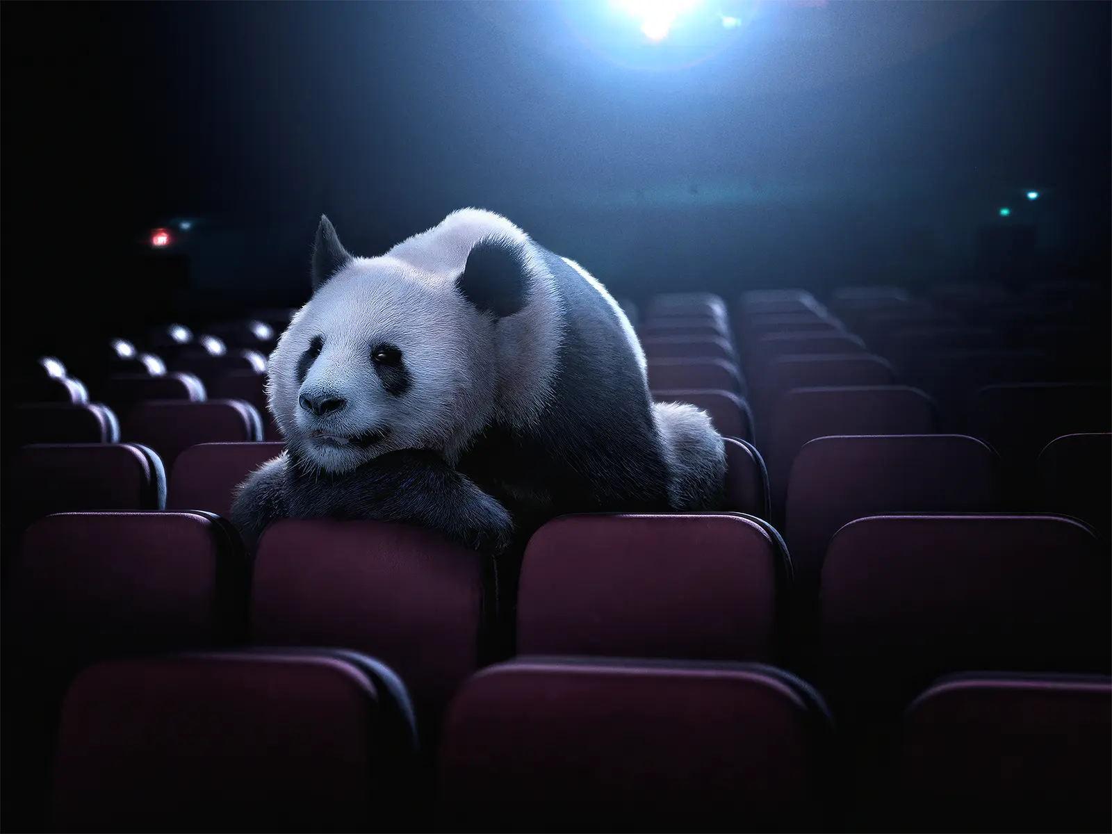 CGI and digital imaging of panda in movie theatre. Creative CGI and technical post-production by Pierre Bourjo Imaging.