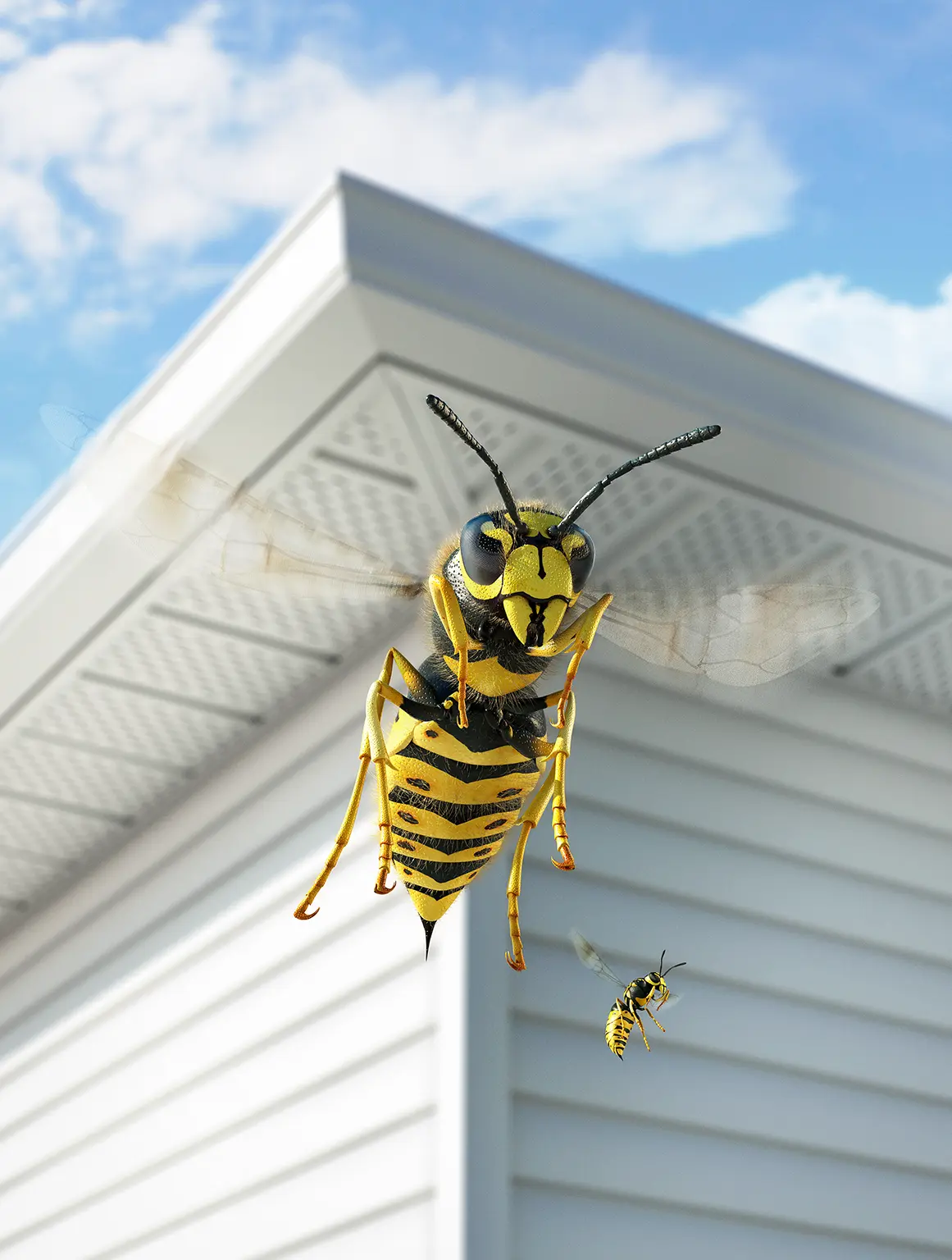 Fully CG rendered wasps and house for Scotts. Creative production from the renowned Pierre Bourjo Imaging studio.