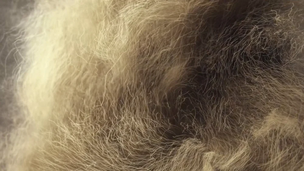 CG animations crafted for the launch of Nicole Hollis' Artistry Of Home collection, in collaboration with photographer Adrian Armstrong. Through hands-on experimentation, we animated handcrafted materials to reveal their tactile richness and sensory depth. Flowing liquid metal that gleams and transforms, macro cashmere captured with millions of lifelike strands and particles, spinning clay forms echoing the maker's hand, photo-realistic wood and leather movement, all under meticulously sculpted light that uncovers subtle textures and raw sophistication. The animations weave seamlessly into live footage, offering an intimate, human celebration of artisanal elegance. High-end visuals produced by the award-winning Pierre Bourjo Creative Studio.